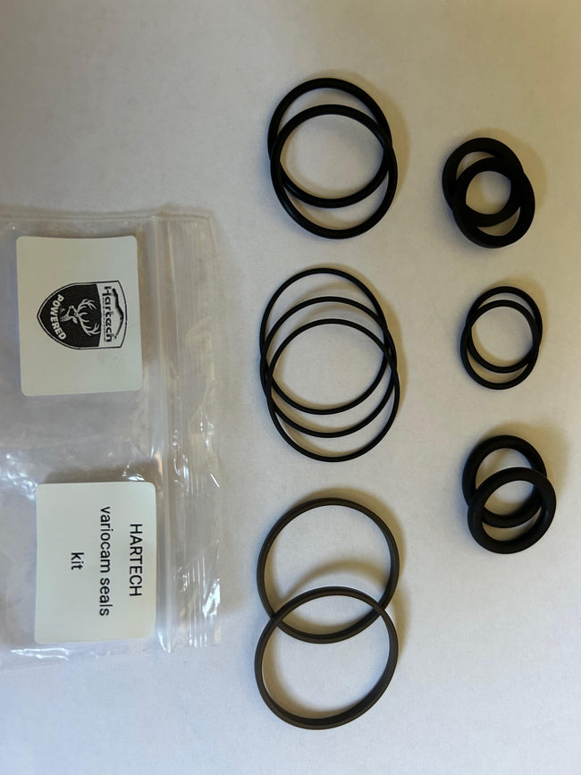 Variocam Solenoid Rebuild Kit - 5 Chain M96 Engines